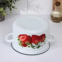 Кастрюля эмалированная, 5 л, с крышкой, деколь МИКС, белая