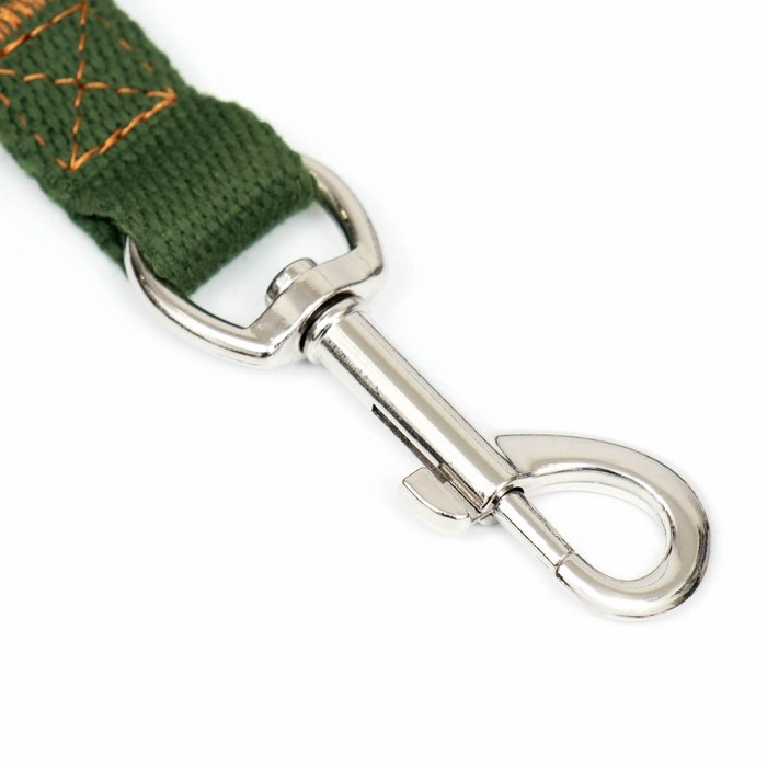 Поводок брезентовый, 2 м х 2 см, хаки Поводок брезентовый, 2 м х 2 см, хаки