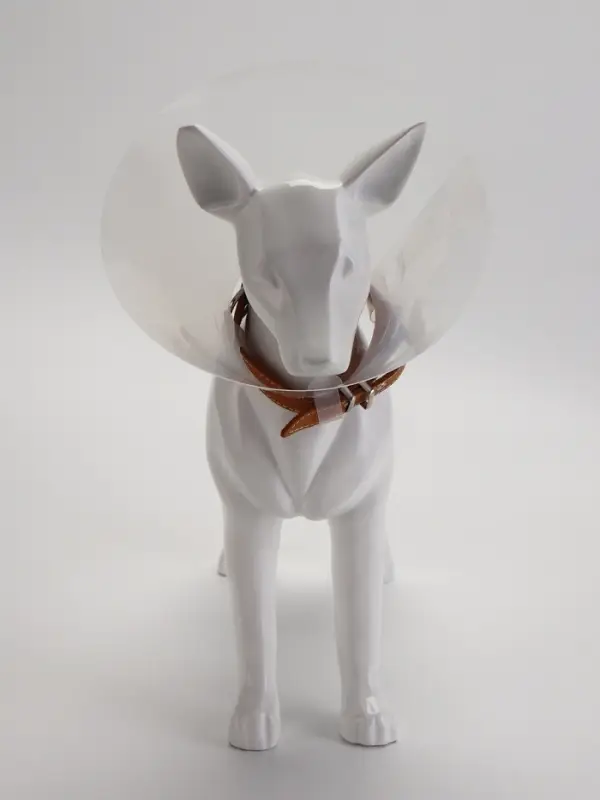 Ветеринарный воротник с креплением на ошейник, ОШ 13-28.5 см, высота 15 см, без ошейника