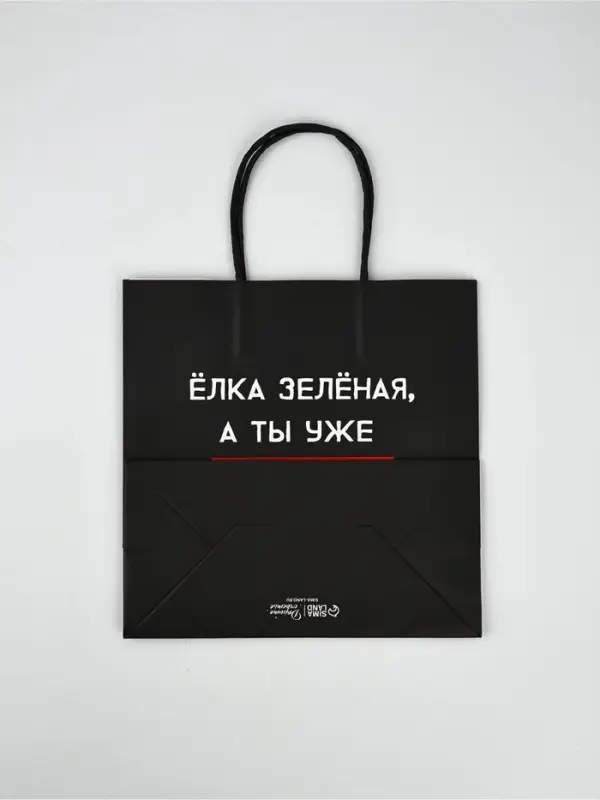 Набор пакетов подарочных новогодних &laquo;Так тебе и надо&raquo;, 6 шт., 22&times;22&times;11 см