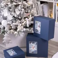 Коробка The Blue Bear, L