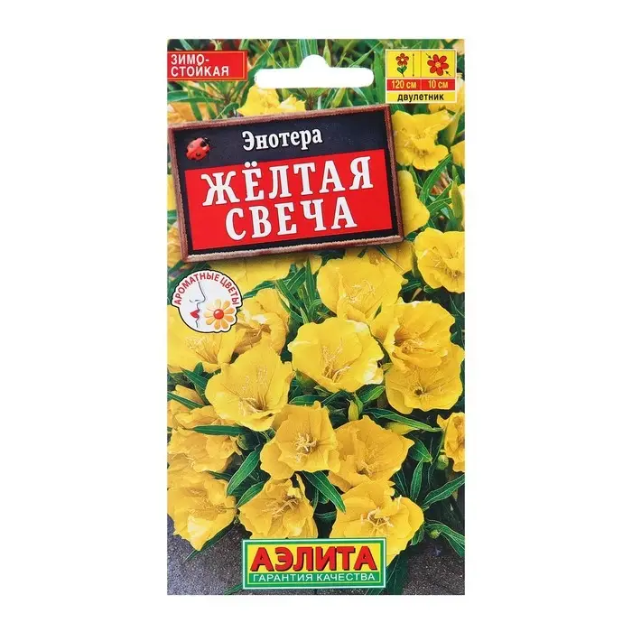 Семена Энотера Желтая свеча   Дв Ц/П 0,2г Семена Энотера Желтая свеча   Дв Ц/П 0,2г