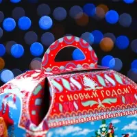 Подарочная коробка «Емеля» 18.5×12.5×19 см
