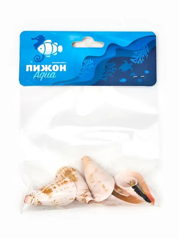 Набор ракушек декоративных, длина 4 см, 5 шт.