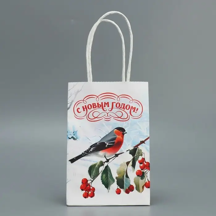 Пакет подарочный новогодний крафтовый «Зимушка», 15 х 10 х 6 см
