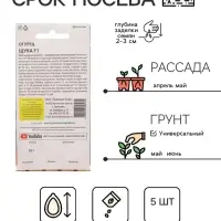 Семена Огурец &laquo;Щука&raquo;, F1, 5 шт., Premium seeds