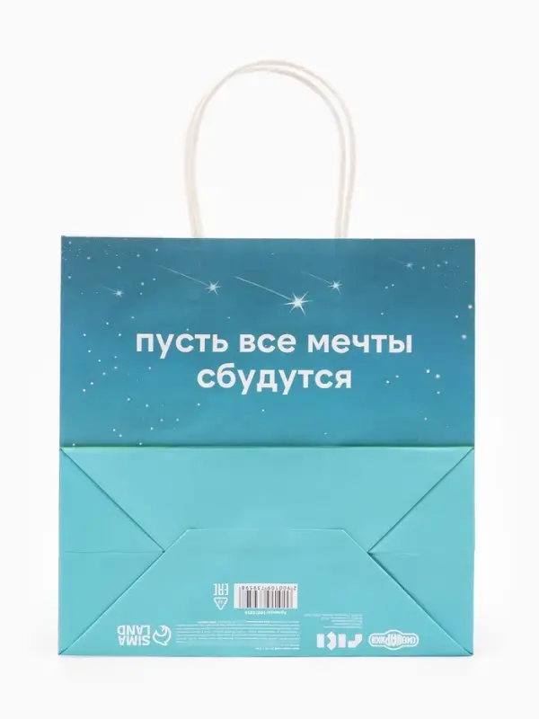Пакет подарочный &laquo;Мечты сбываются&raquo;, Смешарики, 22&times;22&times;11 см