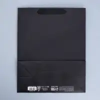 Пакет подарочный ламинированный, упаковка, &laquo;Чёрный&raquo;, M 26&times;30&times;9 см