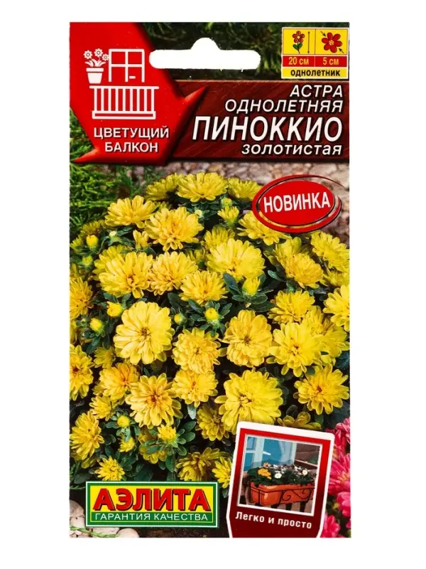 Семена цветов Астра Пиноккио золотистая Цветущий балкон, Ц/П,0,05 г Семена цветов Астра Пиноккио золотистая Цветущий балкон, Ц/П,0,05 г