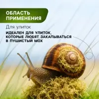 Мох сфагнум для террариумов &laquo;Рецепты дедушки Никиты&raquo; 3 л