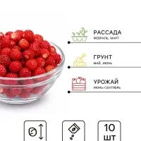 Семена Земляника &laquo;Капелька лета&raquo;, F1, &laquo;Агрофирма АЭЛИТА&raquo;, ремонтантная, крупноплодная, 10 шт.