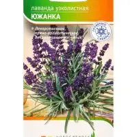 Семена Лаванда "Южанка" 0,1 г Семена Лаванда "Южанка" 0,1 г