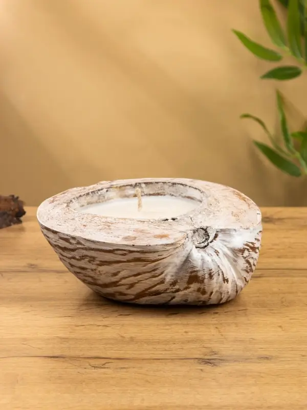 Свеча в кокосе, 20х20х7 см, цв. белый