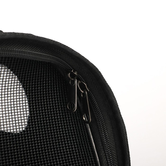 Сумка - переноска раскладная «Бро не багаж» 43х27х20 см Сумка - переноска раскладная «Бро не багаж» 43х27х20 см