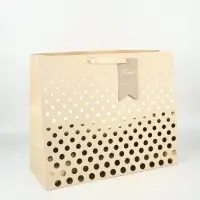 Подарочный пакет с шильдом Present, 49 &times; 40 &times; 19 см