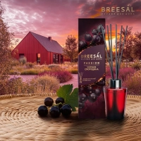 Аромадиффузор Passion Breesal  Черная смородина 70 мл, BR0011
