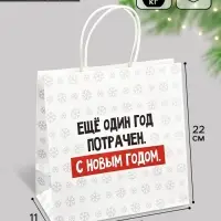 Пакет подарочный новогодний &laquo;Ещё один год&raquo;, 22&times;22&times;11 см