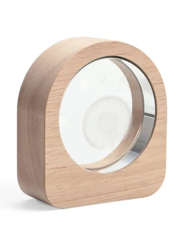 Ночник светодиодный &laquo;Одуванчик&raquo; 3&times;7.5&times;8.4 см, USB