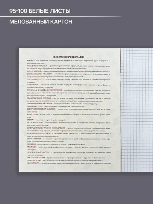 Предметная тетрадь по географии Calligrata TOP &laquo;Аниме&raquo;, 48 листов, в клетку, со справочным материалом, обложка из мелованного картона