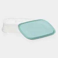 Набор пищевых контейнеров SparkPlast BioFresh, 3 шт.: 500 мл, 1 л, 1.6 л, прозрачный, крышки МИКС