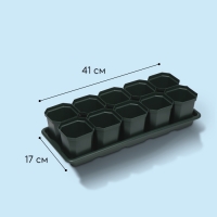 Набор для рассады: стаканы по 300 мл (10 шт.), поддон 41 × 17 см, цвет МИКС