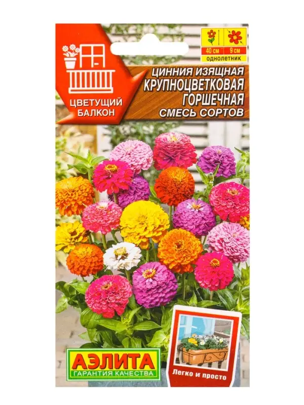Семена цветов Цинния Крупноцветковая горшечная, смесь сортов Цветущий балкон, Ц/П,12 шт. Семена цветов Цинния Крупноцветковая горшечная, смесь сортов Цветущий балкон, Ц/П,12 шт.