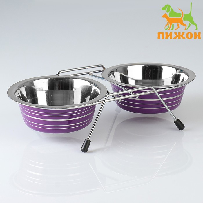 Набор из 2 цветных мисок на подставке, 2 х 350 мл Набор из 2 цветных мисок на подставке, 2 х 350 мл
