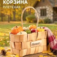 Корзина плетёная для хранения, 17&times;10&times;9 см, ручка h=9.5 см, секвойя
