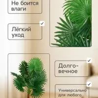 Дерево искусственное &laquo;Ливистона&raquo;, h=75 см