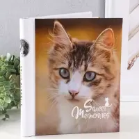 Фотоальбом 10 магнитных листов "Котенок" 23X28см, пер-т внутр.спираль Фотоальбом 10 магнитных листов "Котенок" 23X28см, пер-т внутр.спираль