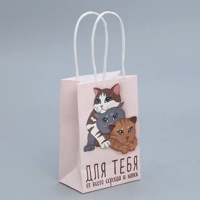 Пакет подарочный крафтовый, упаковка, &laquo;Подарок для тебя&raquo;, 15 х 10 х 6 см