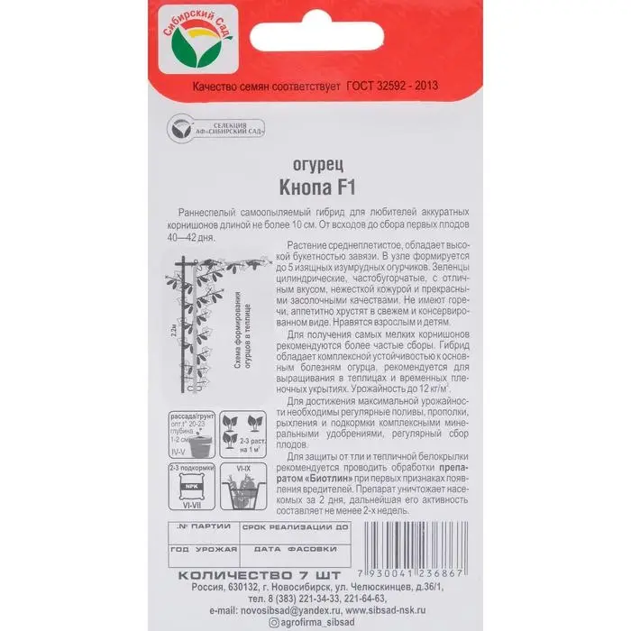 Семена Огурец "Кнопа" F1, раннеспелый, партенокарпический, 7 шт