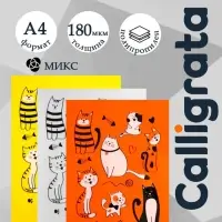 Папка-уголок А4, 180 мкм, Calligrata &laquo;Котики&raquo;, полупрозрачная, с принтом, микс