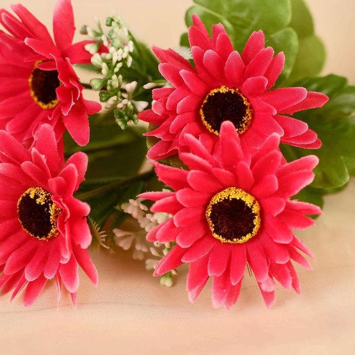 Букет Букет "Доротеантус" 28 см, микс