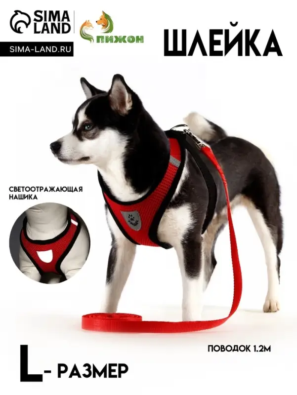 Шлейка с поводком, размер L, ОШ 33 см, ОГ 36-48 см, со светоотражающей нашивкой, мягкая, красная