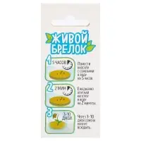 Набор для опыта &laquo;Живой брелок&raquo;, мини-сад, выращивание травы