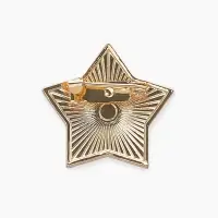 Значок «Звезда Серп и молот», 2.5 см, цвет красный в золоте