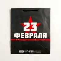 Пакет подарочный ламинированный, упаковка, &laquo;С 23 февраля&raquo;, M 26&times;30&times;9 см