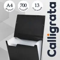 Папка картотека А4, Calligrata, 13 отделений, пластиковая, 700 мкм, чёрная
