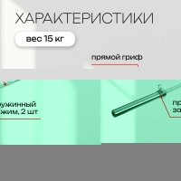 Гриф олимпийский тренировочный с замками, вес 15 кг, 220 см, d=50 мм, до 300 кг