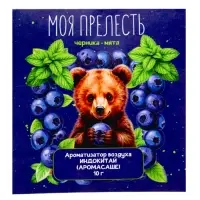 Аромасаше &laquo;Моя прелесть&raquo; черника, мята, 10 г
