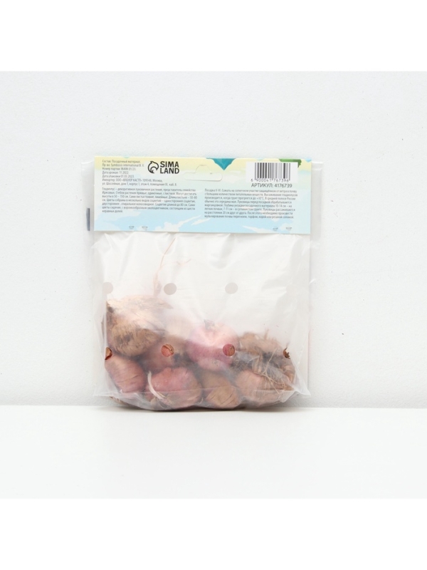 Гладиолус примуловидный «Атом», луковица цветов в пакете с перфорацией, р-р 10+, 7 шт.