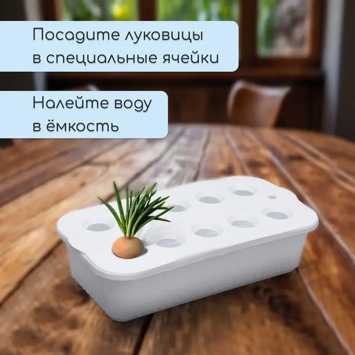 Ящик для выращивания зелёного лука, 29&times;16&times;8.5 см, 2.5 л, 10 лунок, пластик, белый, Greengo