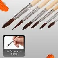 Набор кистей для рисования, белка, 6 штук: № 2, 4, 6, 8, 10, 12, Calligrata, круглые, деревянная ручка, международный размер