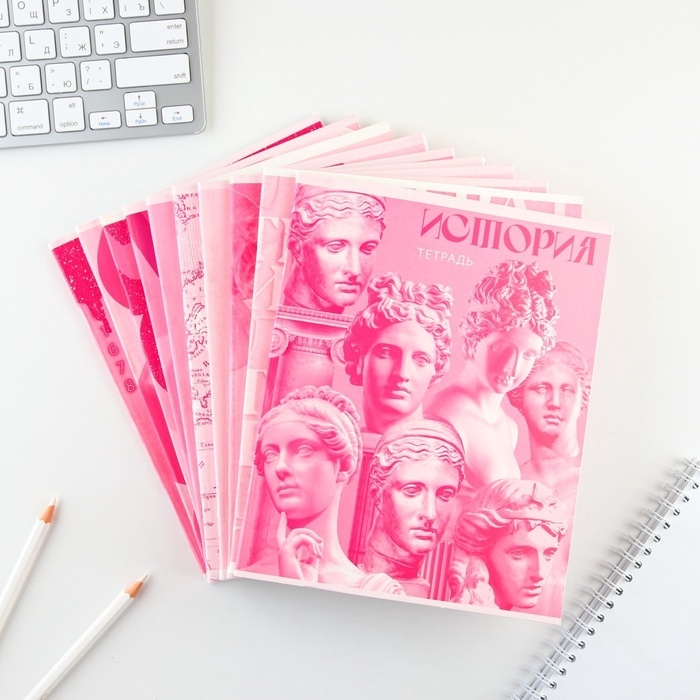 Комплект тетрадей 48 листов, 10 предметов со справ. мат. в обечайке "Розовый"