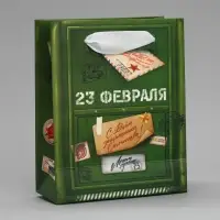 Пакет подарочный ламинированный, упаковка, «23 февраля», почта, S 12 х 15 х 5.5 см