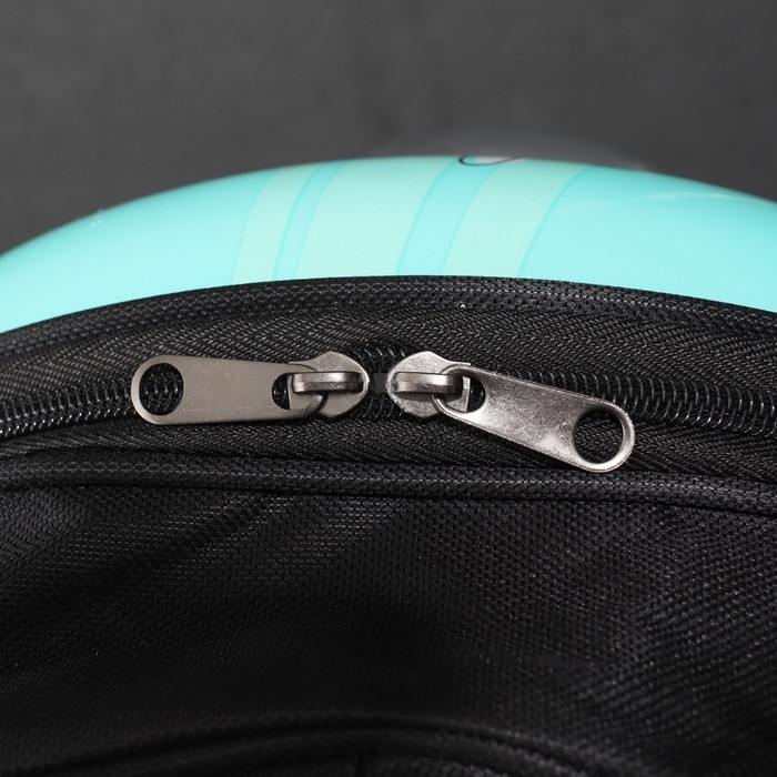 Рюкзак для переноски кошек и собак Рюкзак для переноски кошек и собак "Ромашка", с окном, 32 х 26 х 44 см