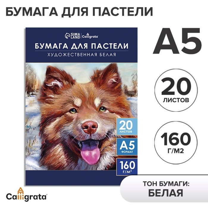 Бумага для пастели А5, 20 листов  Бумага для пастели А5, 20 листов "Собака", блок 160 г/м2, в папке