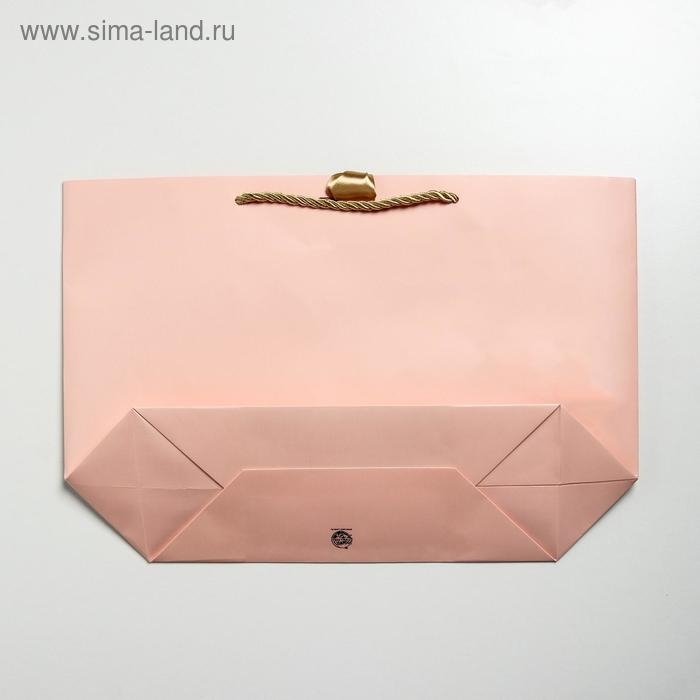 Пакет подарочный, упаковка, «Present for you», 30 х 27.5 х 12 см Пакет подарочный, упаковка, «Present for you», 30 х 27.5 х 12 см