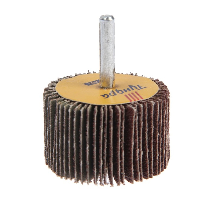 Круг лепестковый радиальный ТУНДРА, 50 х 30 х 6 мм, Р60 Круг лепестковый радиальный ТУНДРА, 50 х 30 х 6 мм, Р60